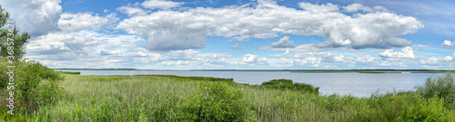 rural landscape with blue lake and reeds ashore. panoramic view in summer day