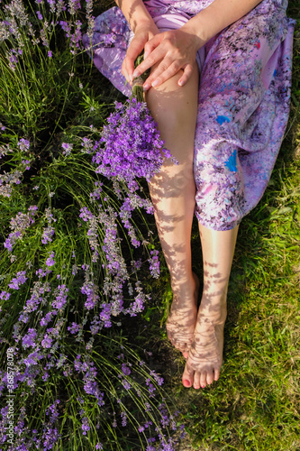 A young woman in a purple dress near the lavender. The body part. Morning sun. Shadows from flowers. Top view.