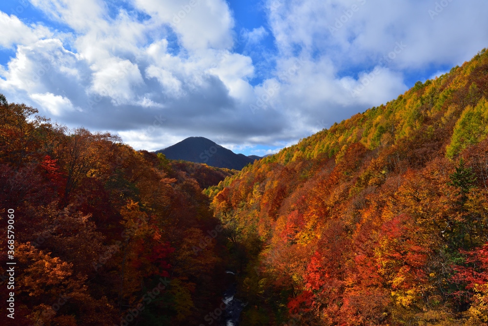 紅葉の中の磐梯山 紅葉の中の磐梯山