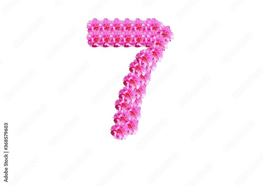 The number seven is made of pink flowers on a white background. Spring concept Floral letters of the alphabet for wedding design or flower festival The number seven is made of pink flowers on a white background. Spring concept Floral letters of the alphabet for wedding design or flower festival