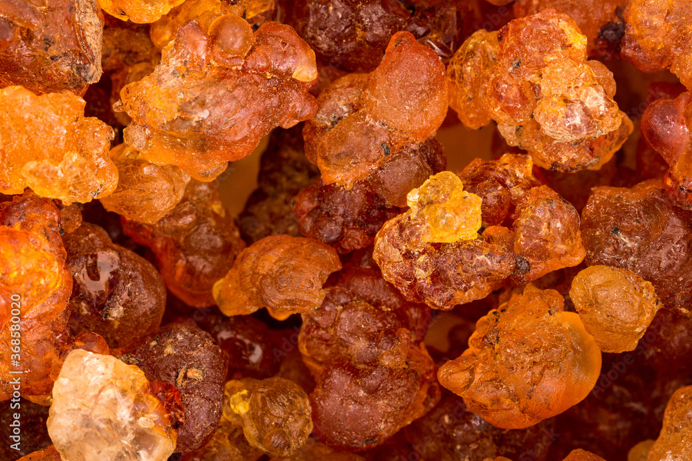 Golden yellow peach gum Golden yellow peach gum