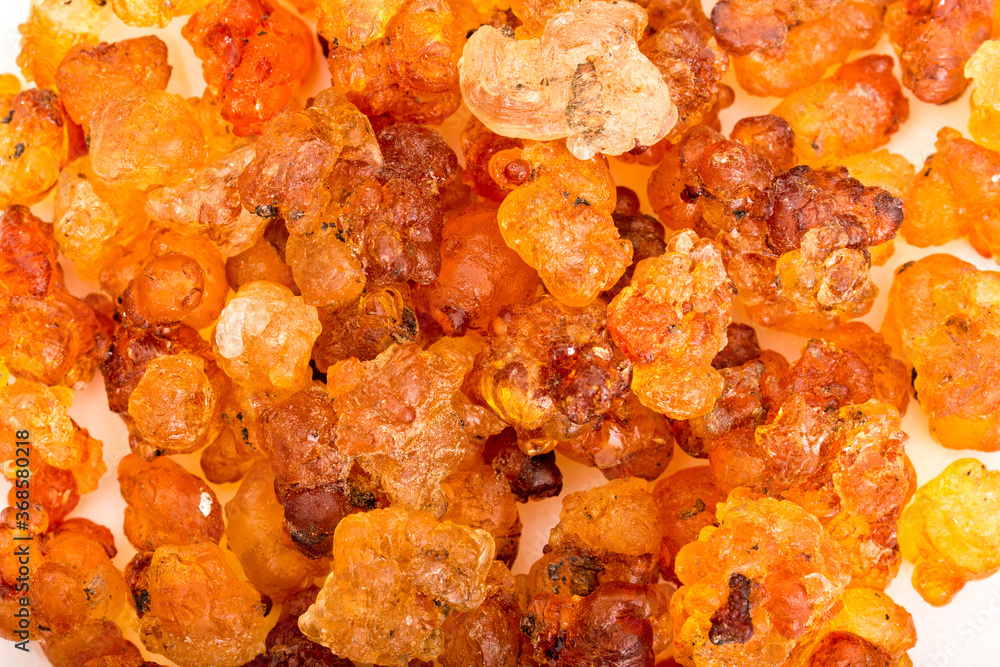 Golden yellow peach gum Golden yellow peach gum