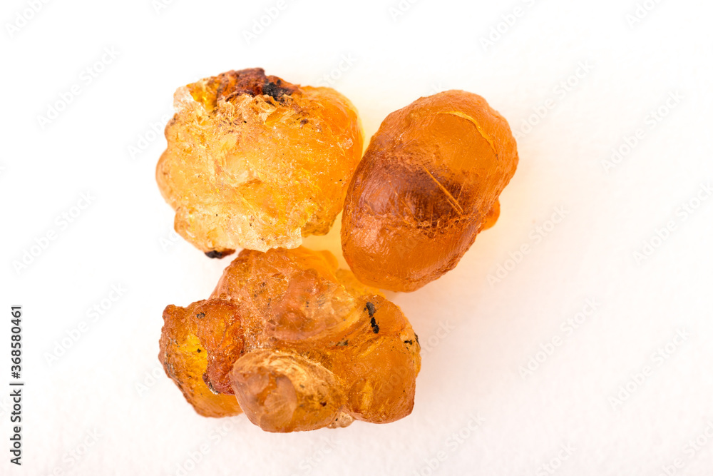 Golden yellow peach gum Golden yellow peach gum