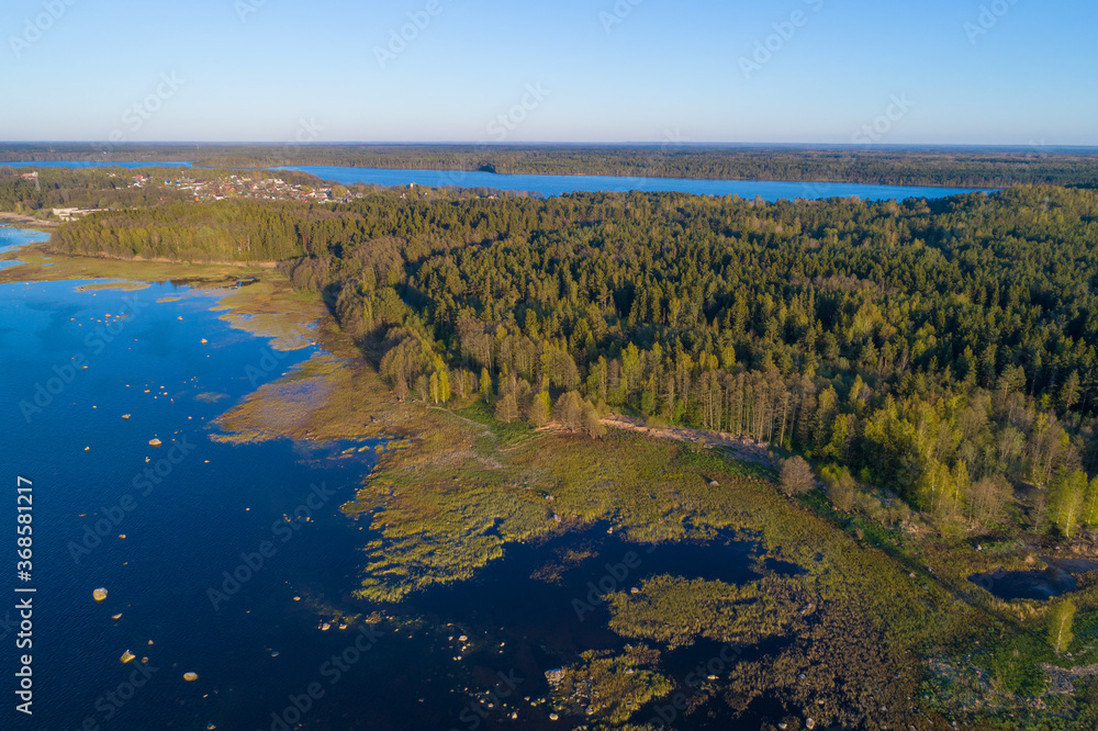 Over the southern coast of the Finnish Bay on a May evening (aerial photography). The surroundings of the village of Shepelevo. Leningrad region, Russia