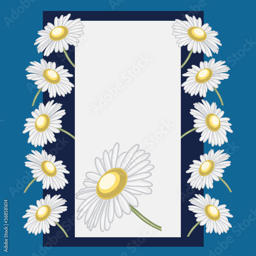 Greeting card with daisies. Greeting card concept. Theme of birthday, anniversary, from March 8, international spring break. © Катерина S