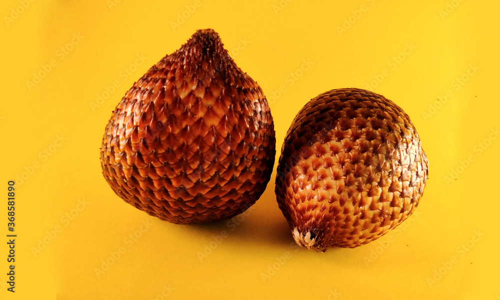 thorny palm bark or salak in yellow background Salacca zalacca thorny palm bark or salak in yellow background Salacca zalacca