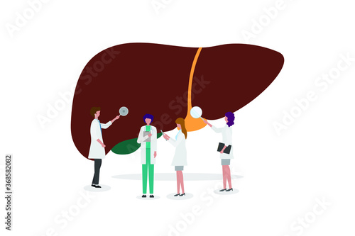 A team of doctors checkup the 
liver. People examine the organ and make a diagnosis. Design for web banner on white background. Healthy 
liver vector illustration concept. 