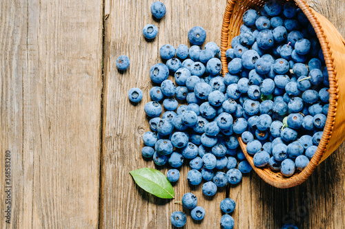 Freshly picked blueberries in upset wicker baskets and also scattered on the table. Juicy and fresh berries with green leaves on rustic wooden table surface. Concept for healthy eating and nutrition.