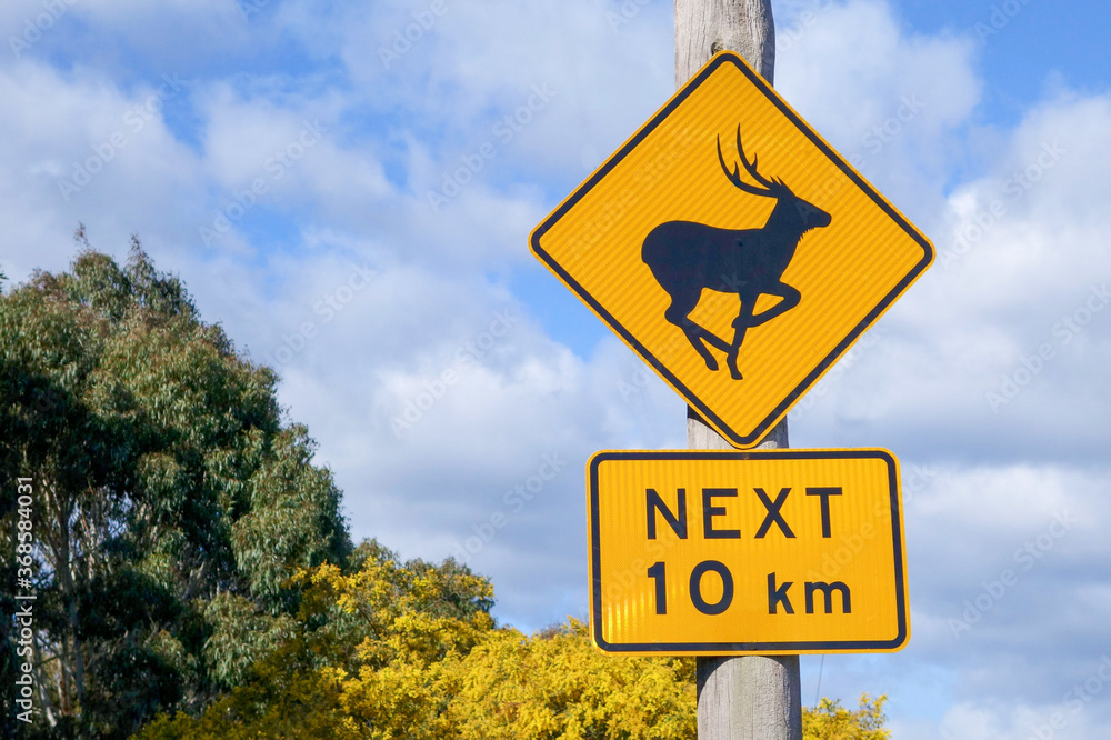 Deer road sign warning that deer might be on the road for the next 10 klms. Deer road sign warning that deer might be on the road for the next 10 klms.