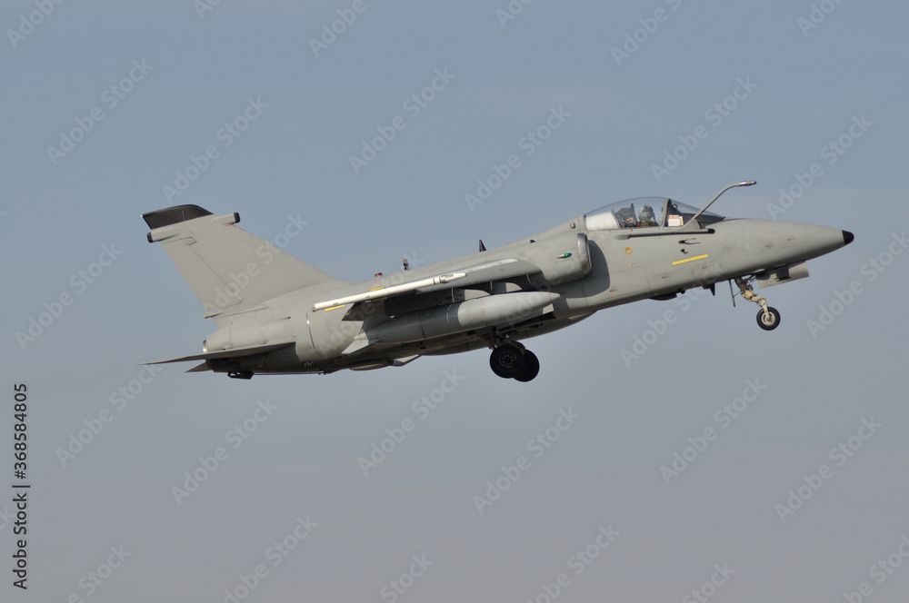 Obraz premium Avión de combate despegando