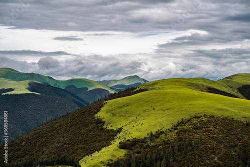 The green meadows on mountains in Kazila mountain  in Tibet  China  on a cloudy day  summer time.