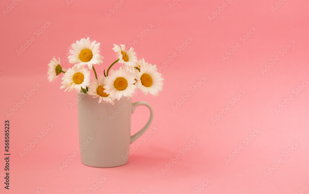 white daisies, in a white mug on a pink background