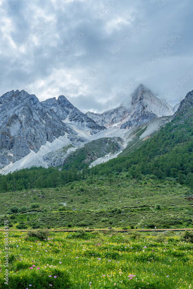 The meadows under snow mountains in Yading, Sichuan Province, during summer time, on cloudy day.