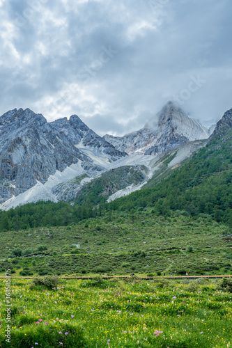 The meadows under snow mountains in Yading  Sichuan Province  during summer time  on cloudy day.