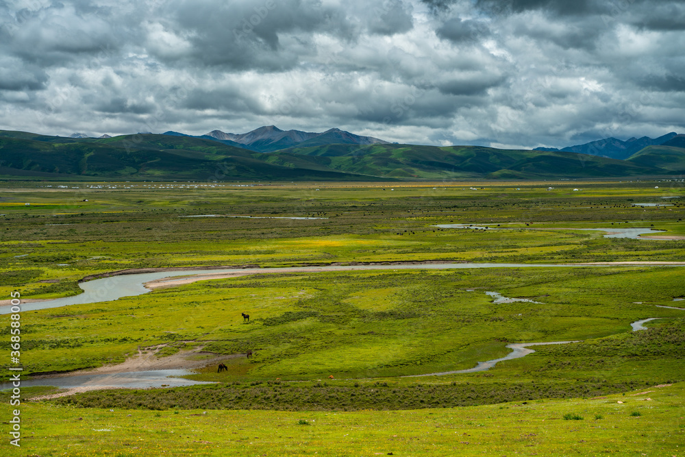 Litang grassland, one of the largest grassland in Tibet, China, summer time, on a cloudy day.
