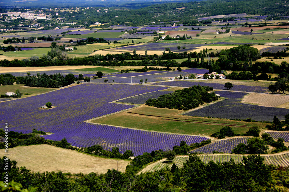 paysage morcelé paysage morcelé