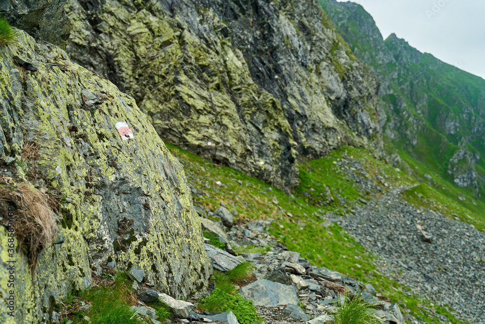 Summer in the mountains Summer in the mountains