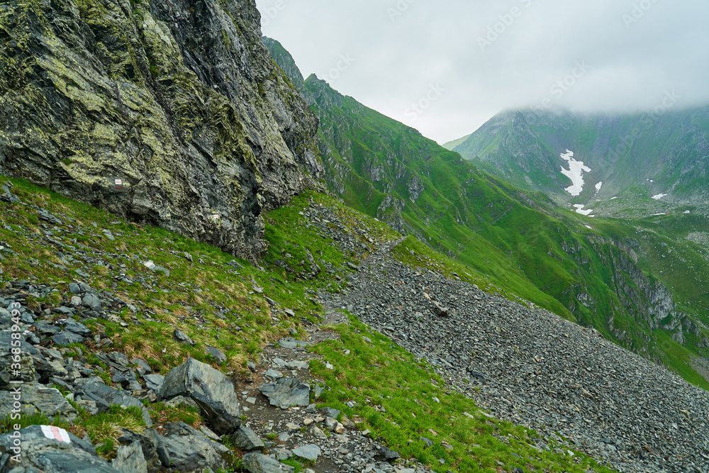 Summer in the mountains Summer in the mountains