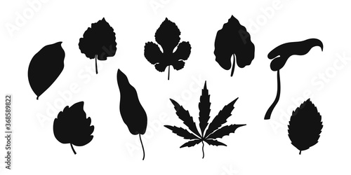 Doodle leaf set icons isolated on white. Stencil leaves. Vector stock illustration. EPS 10