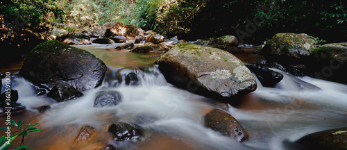 Landscape photo of a river flowing smoothly in the forest. There are many rocks in the river and trees along the waterfront. The water is clean and clear. Feeling fresh, calm, and relaxing.