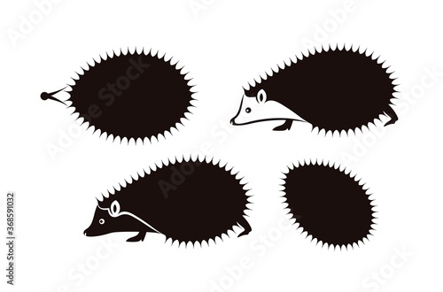 Hedgehog logo. Isolated hedgehog on white background