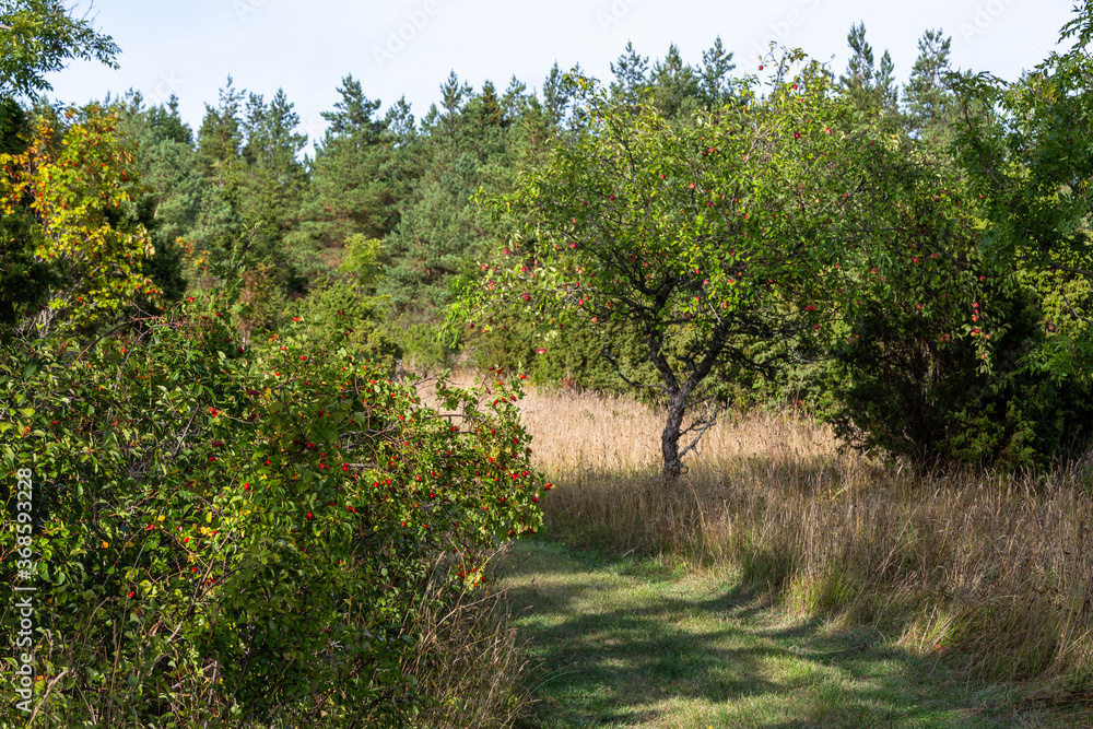 gravel country road