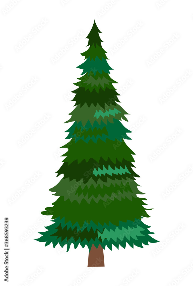 Obraz premium Fir. Tree isolated on a white background. Vector illustration.