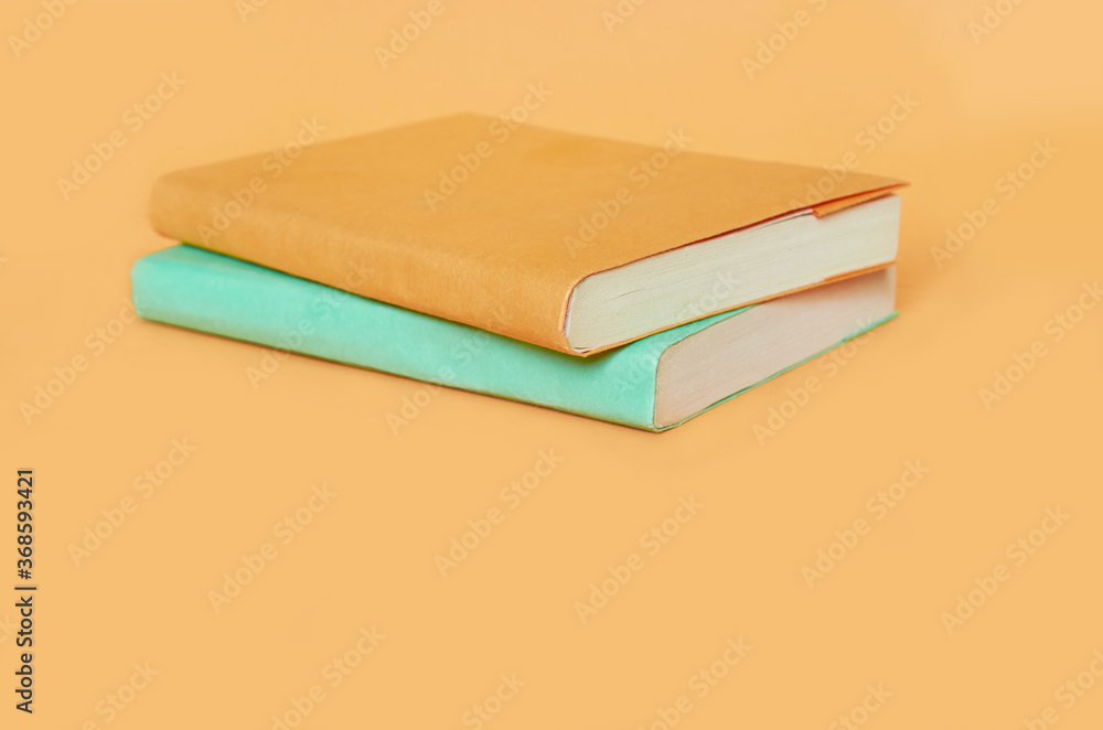 Two books with colored covers are on a uniform background Two books with colored covers are on a uniform background