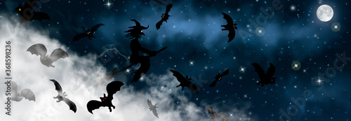Obraz na plátně The witch sitting on the broom flyes through clouds up above the sky with Moon and stars shining on it