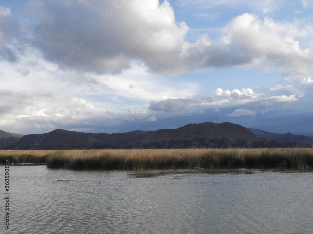 Reed in the lake under the mountains and cloudy sky