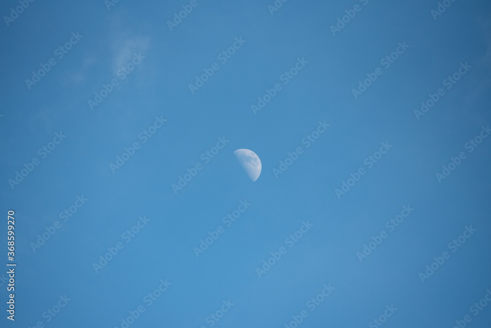 moon moon