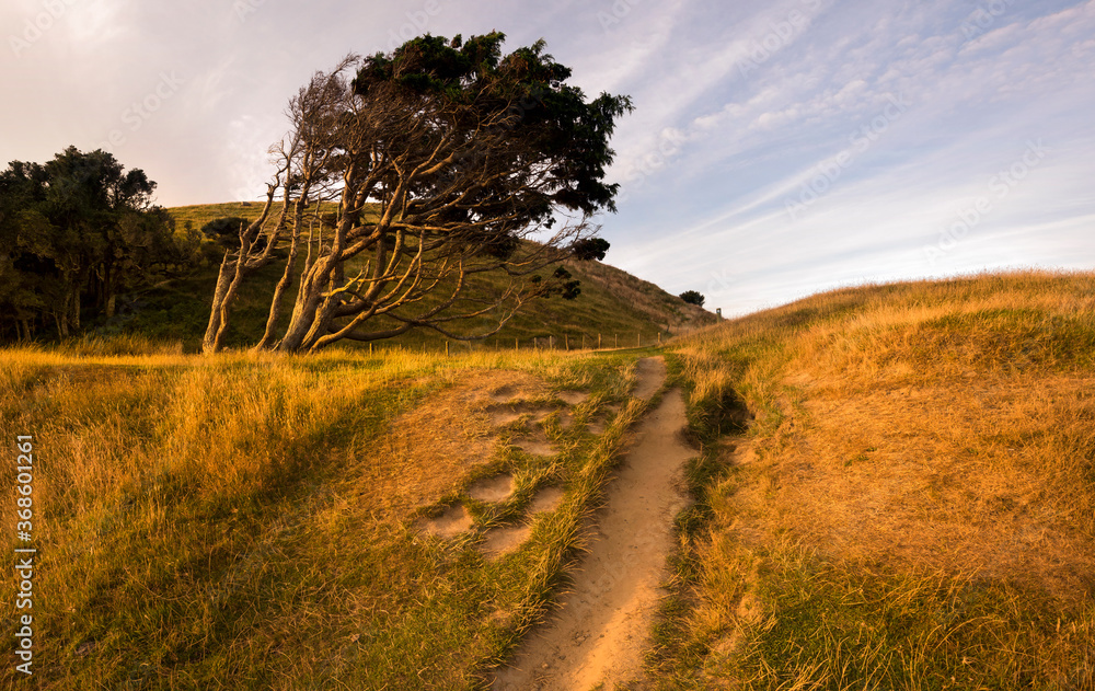 Fototapeta premium wharariki beach, new zealand