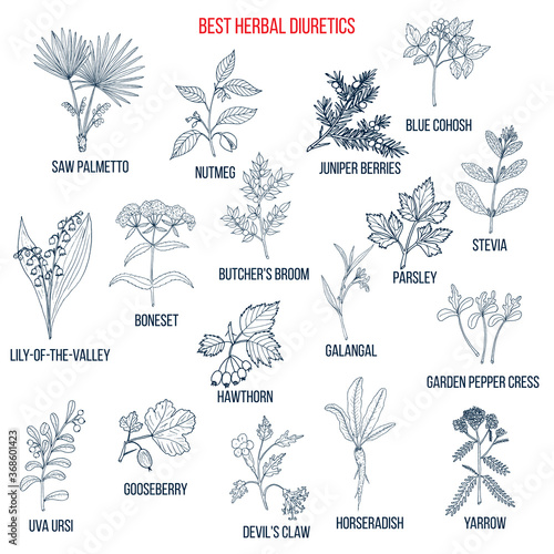 Best diuretic herbs set