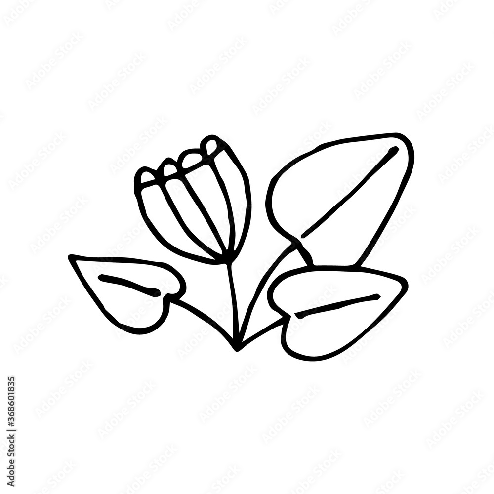 Hand-drawn stylized image of lake plants and flowers. Black and white vector image. Idea for a logo, design, children's creativity, printing. Hand-drawn stylized image of lake plants and flowers. Black and white vector image. Idea for a logo, design, children's creativity, printing.