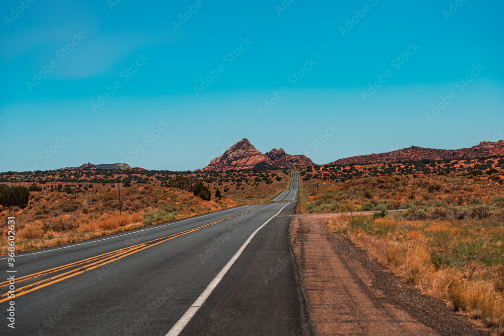 Natural american landscape with asphalt road to horizon. Desert highway at sunset, travel concept, USA.