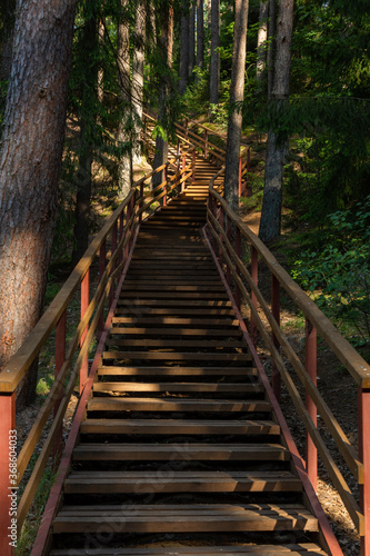Fototapeta Naklejka Na Ścianę i Meble -  wooden stairs to the forest lake