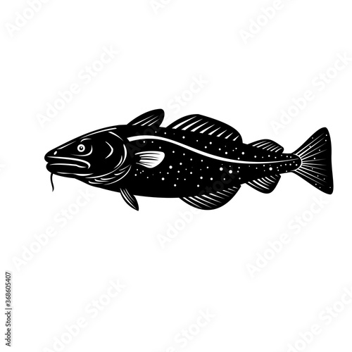 Atlantic Cod Gadus Morhua or Codling Side Woodcut Retro Black and White