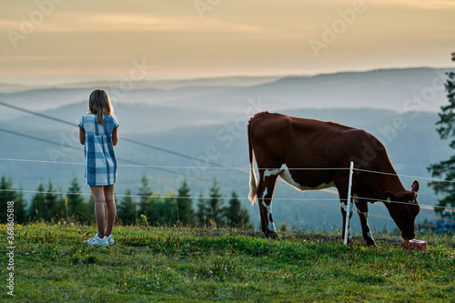 Photography A girl pets a cow.  Shot at Tryvann, Oslo, Norway.