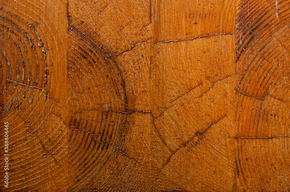 Fototapeta premium The structure of glued laminated timber close up