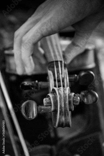 hand with violin