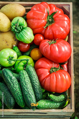 Closeup of fresh tomatoes and cucumbers in wooden box