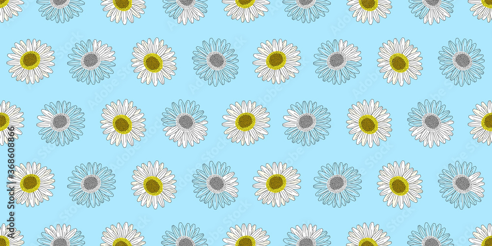 Flowers seamless pattern, Daisy flowers blossom on blue wallpaper.	