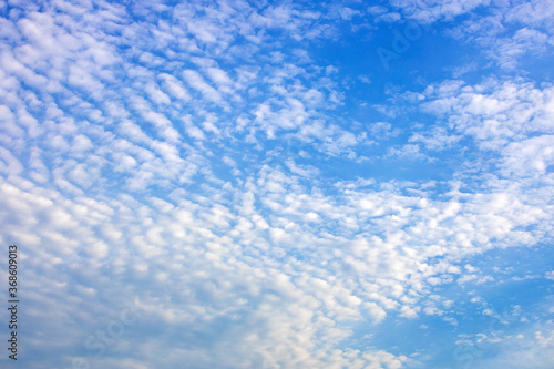 Wallpaper Mural Blue sky and white clouds fine weather Torontodigital.ca