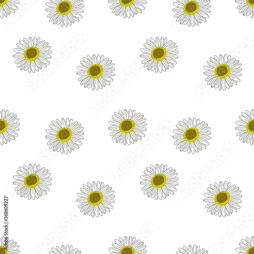 Flowers seamless pattern, Daisy flowers blossom on white wallpaper.  © PUPIL MINER