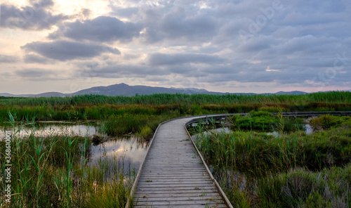 Marjal del Moro wetland nature reserve footbridges on the water in Valencia Spain © Pb