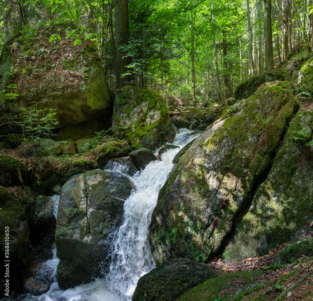 Wildbachrauschen in der Ysperklamm Wildbachrauschen in der Ysperklamm