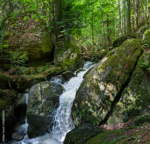 Wildbachrauschen in der Ysperklamm