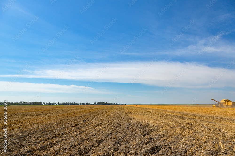 Harvesting Wheat in Zeeland, the Netherlands in July 2020 Harvesting Wheat in Zeeland, the Netherlands in July 2020