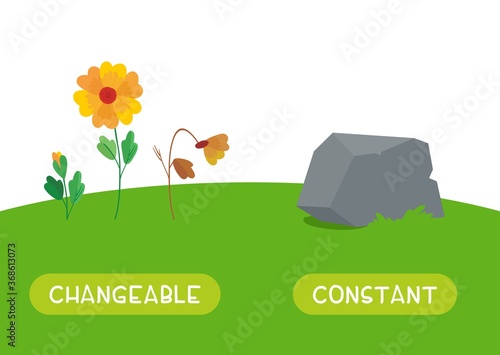 Changeable and constant antonyms word card vector template. Flashcard for english language learning. The stages of growth and wilting of a flower and a stone as something that does not change.