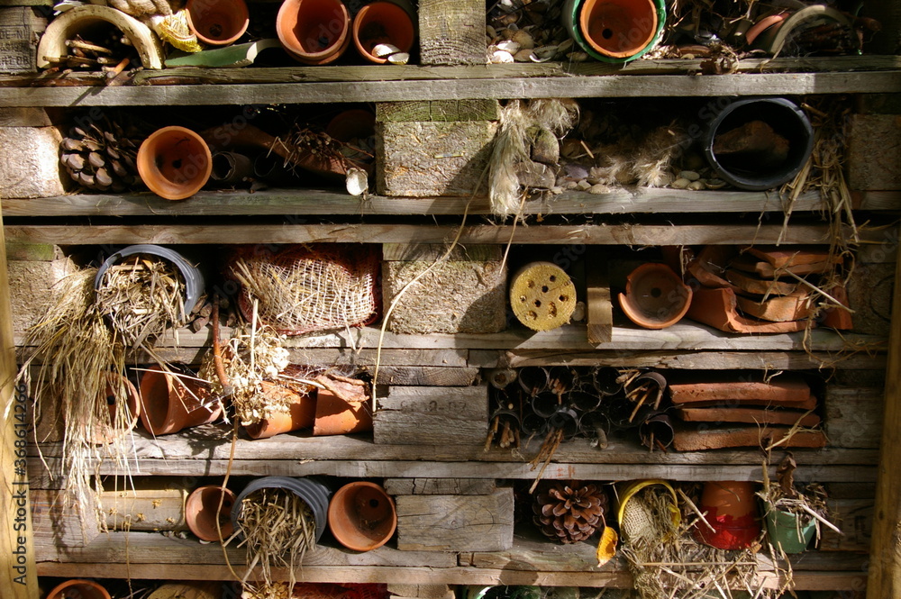 A closeup view of an insect hotel in an English garden. A closeup view of an insect hotel in an English garden.